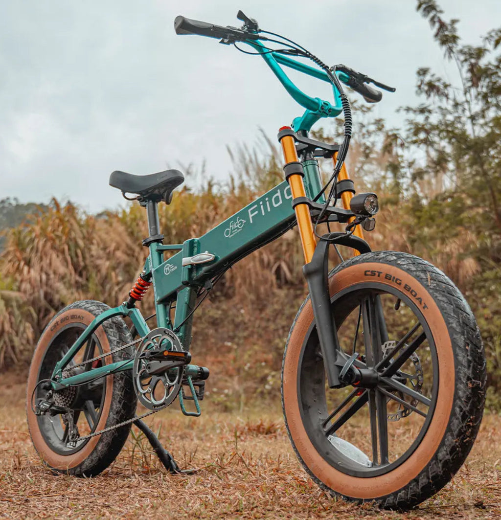 Fiido M1 Pro Fat Bike Pieghevole 250W 48V