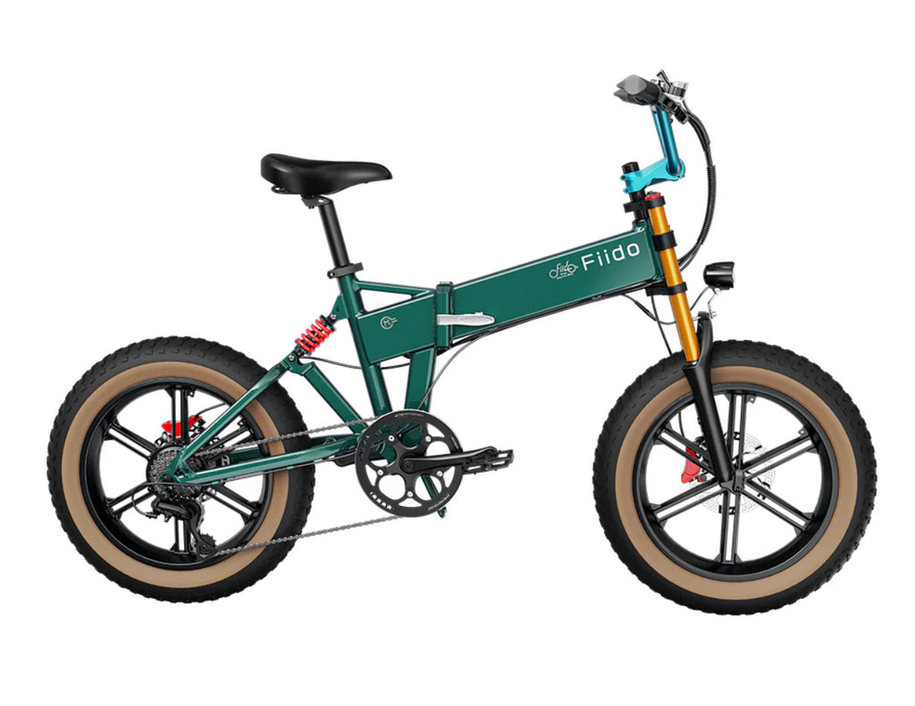 Fiido M1 Pro Fat Bike Pieghevole 250W 48V
