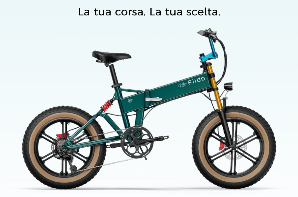 Fiido M1 Pro Fat Bike Pieghevole 250W 48V