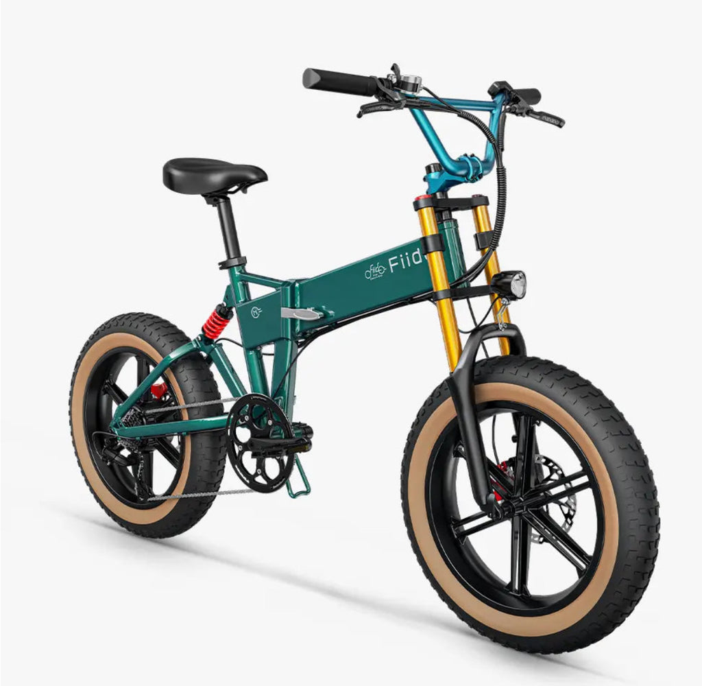 Fiido M1 Pro Fat Bike Pieghevole 250W 48V