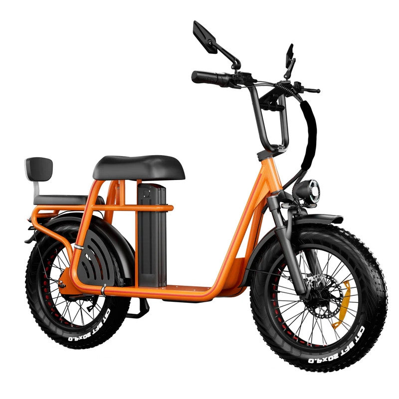 DrVetion ET20 Fat Bike 250W 48V - Disco Idraulico