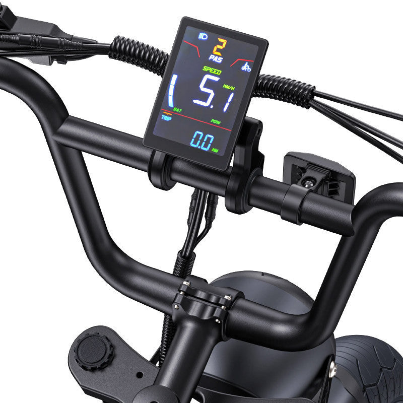 Engwe E-Bike M1 250W 48V 15.6Ah