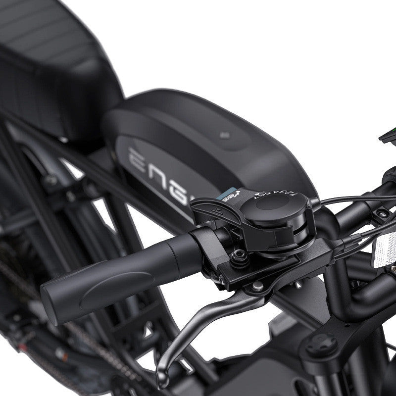Engwe E-Bike M1 250W 48V 15.6Ah