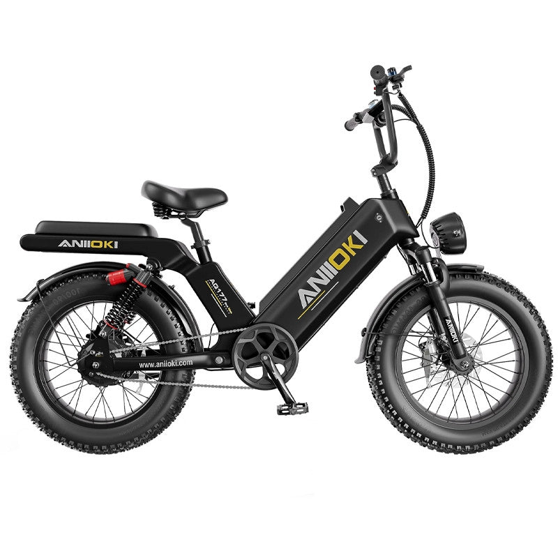 FAT BIKE ANIIOKI AQ177 PRO MAX 48V 60AH