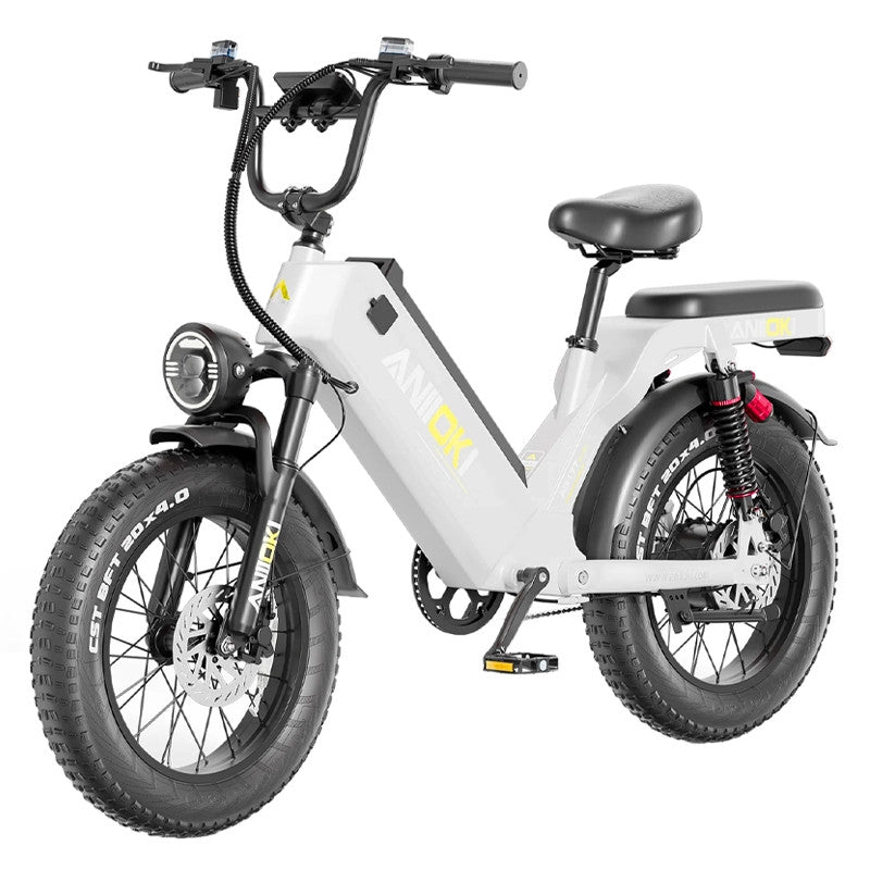 FAT BIKE ANIIOKI AQ177 PRO MAX 48V 60AH