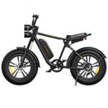 Engwe E-Bike M20 250W 48V 13Ah