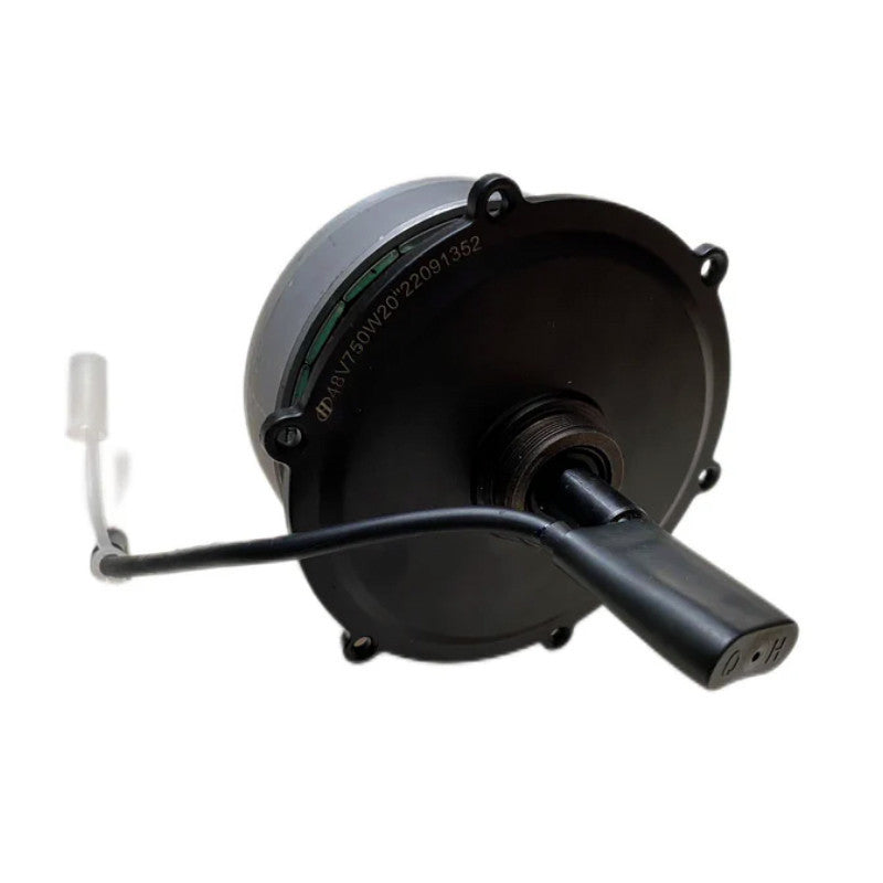 Motore Brushless Engwe Originale per E-Bike Engine Pro 750W