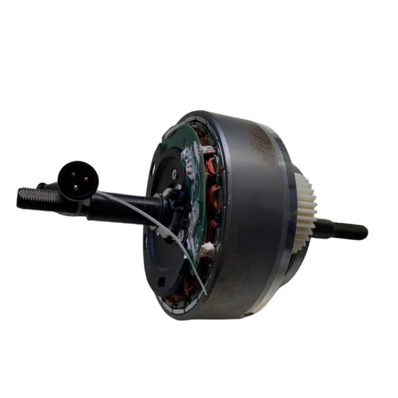 Motore Brushless Engwe Originale per E-Bike Engwe M20