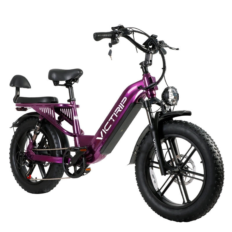 Victrip Mimas Fat Bike 250W 48V Full Suspension